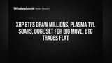XRP ETFs Draw Millions, Plasma TVL Soars, Doge Set for Big Move, BTC Trades Flat