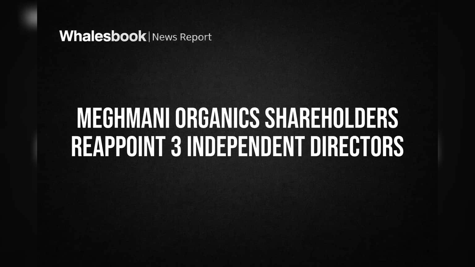 Meghmani Organics Reappoints 3 Independent Directors for Second Term