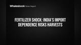 Fertilizer Crisis: India's Harvests at Risk From Import Disruptions