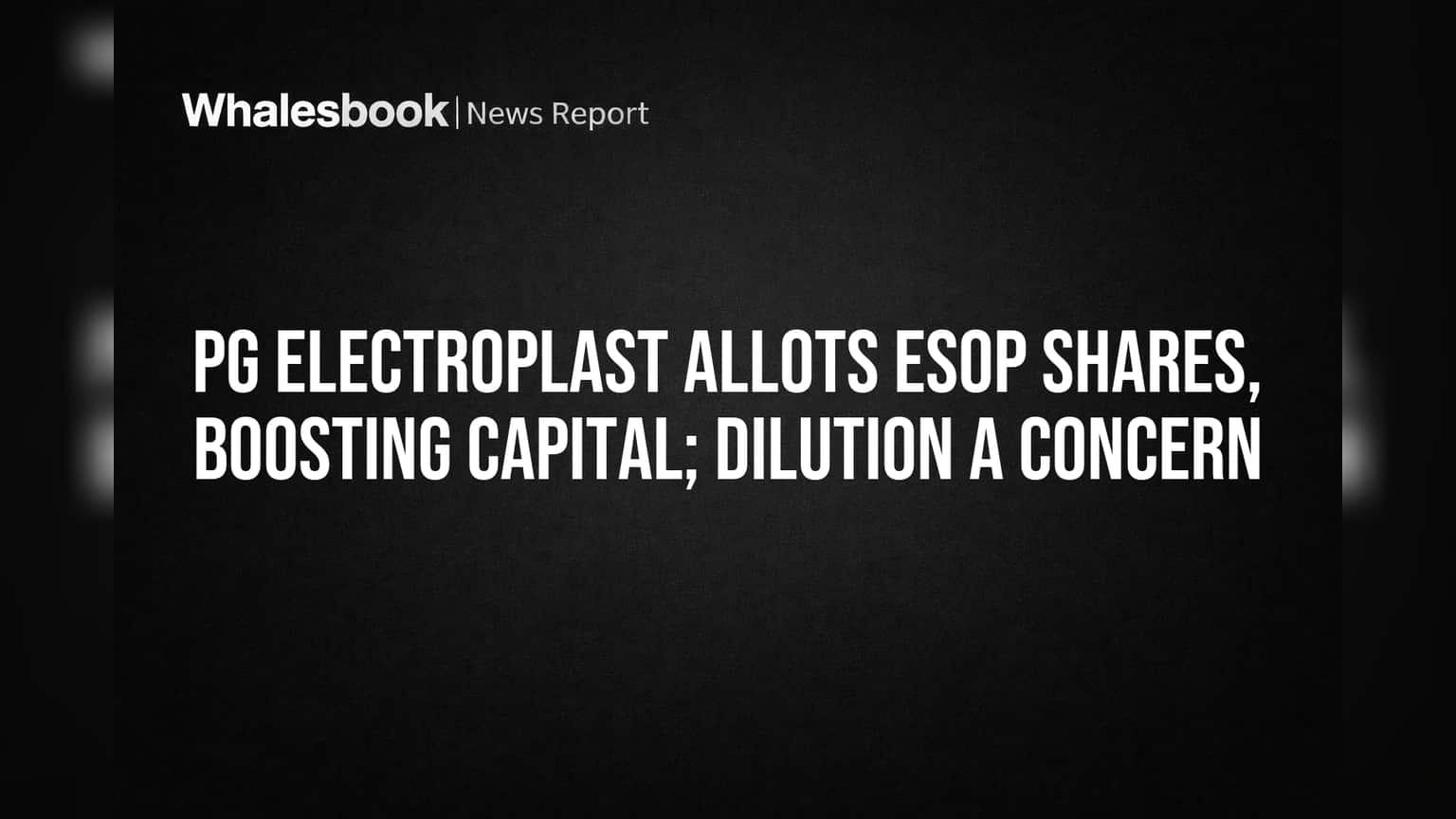 PG Electroplast: ESOP शेअर्स वाटप, कंपनीचे भांडवल वाढले, पण 'या' गोष्टीवर ठेवा लक्ष!