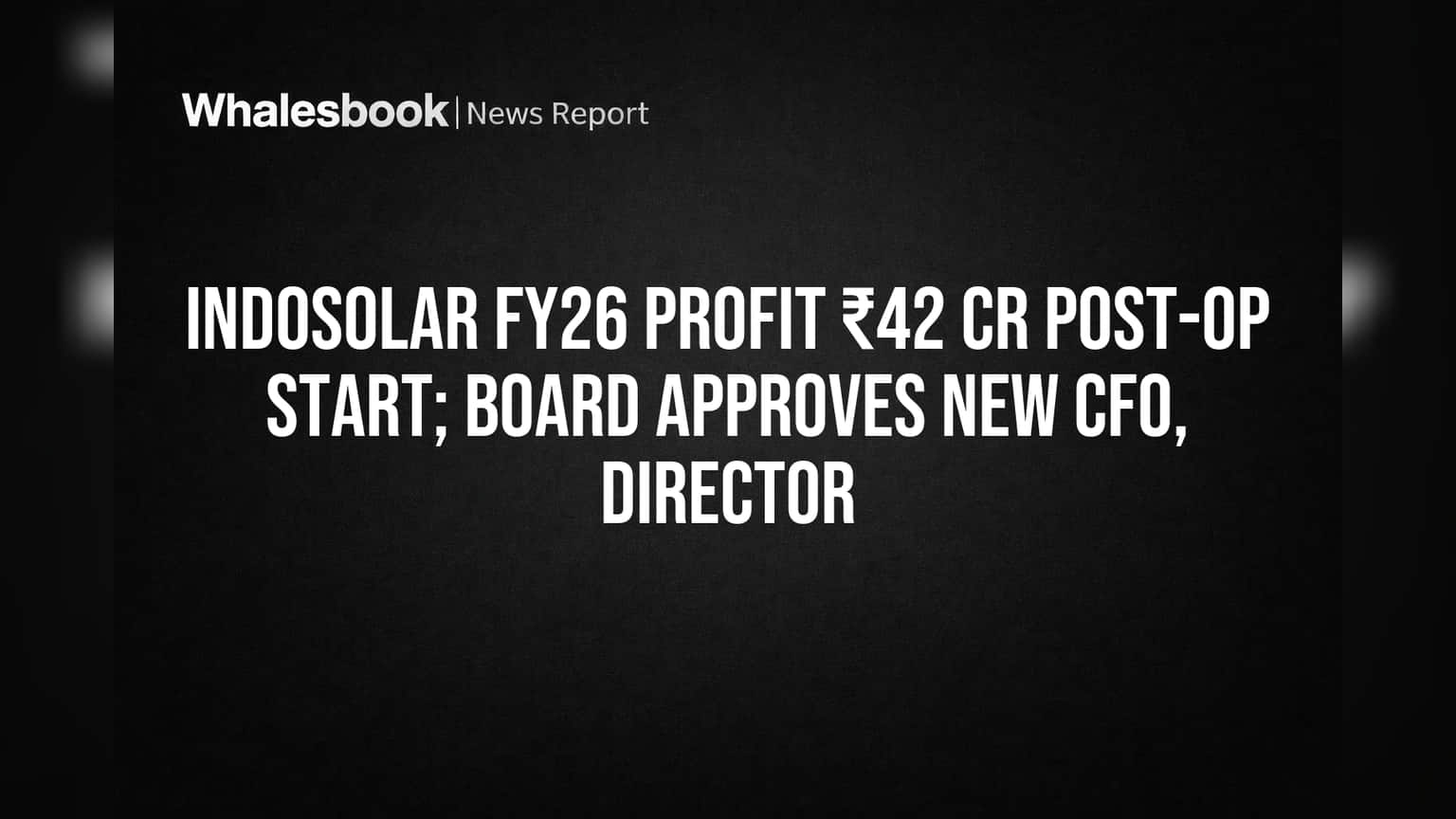 Indosolar Share Price: इंडोसोलारला मोठा दिलासा! ऑपरेशन्स पुन्हा सुरु झाल्यावर FY26 मध्ये ₹42 कोटींचा Profit