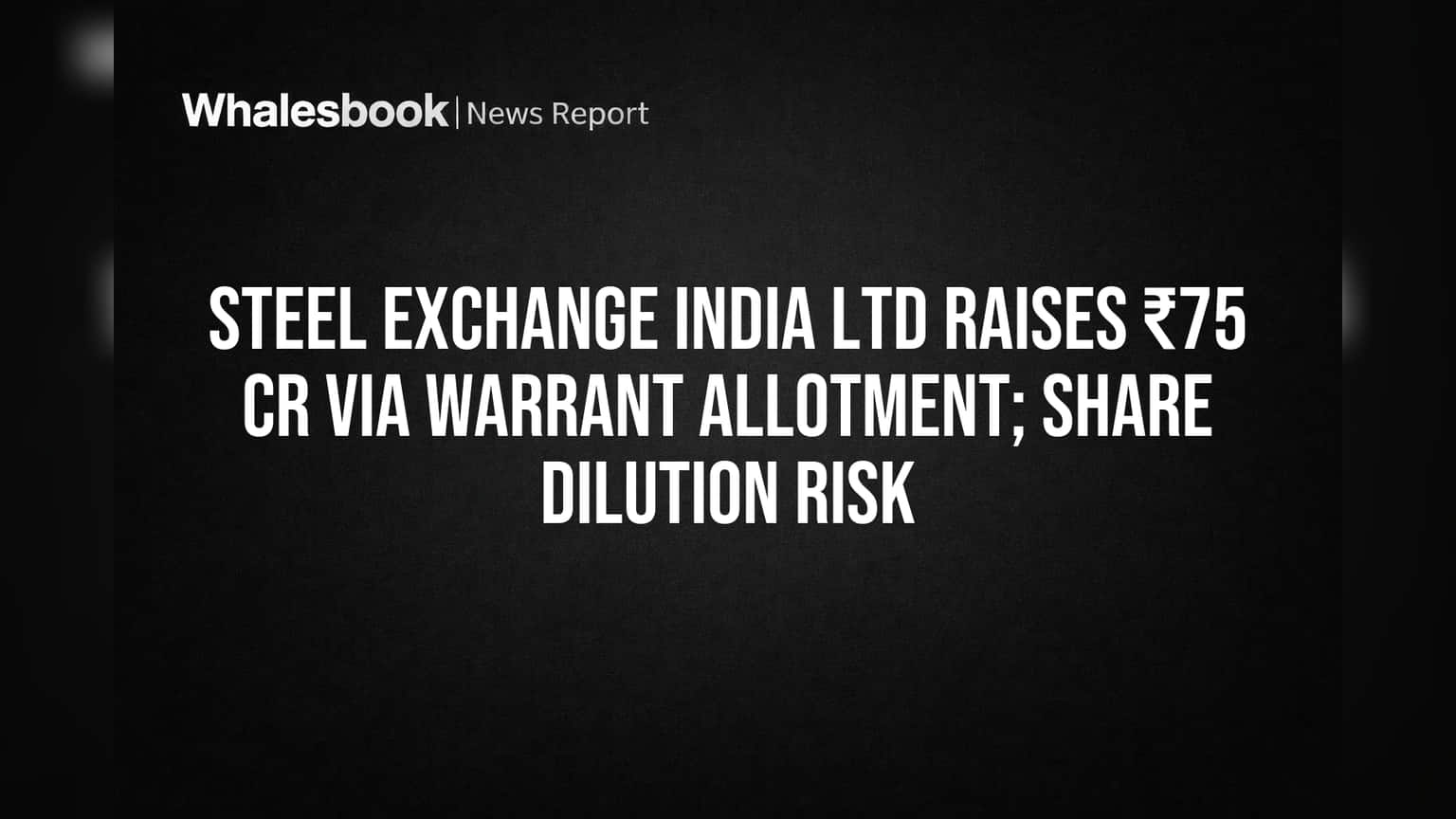 Steel Exchange India: ₹75 कोटी उभारले, पण शेअरहोल्डर्ससाठी 'डाइल्यूशन'चा धोका?