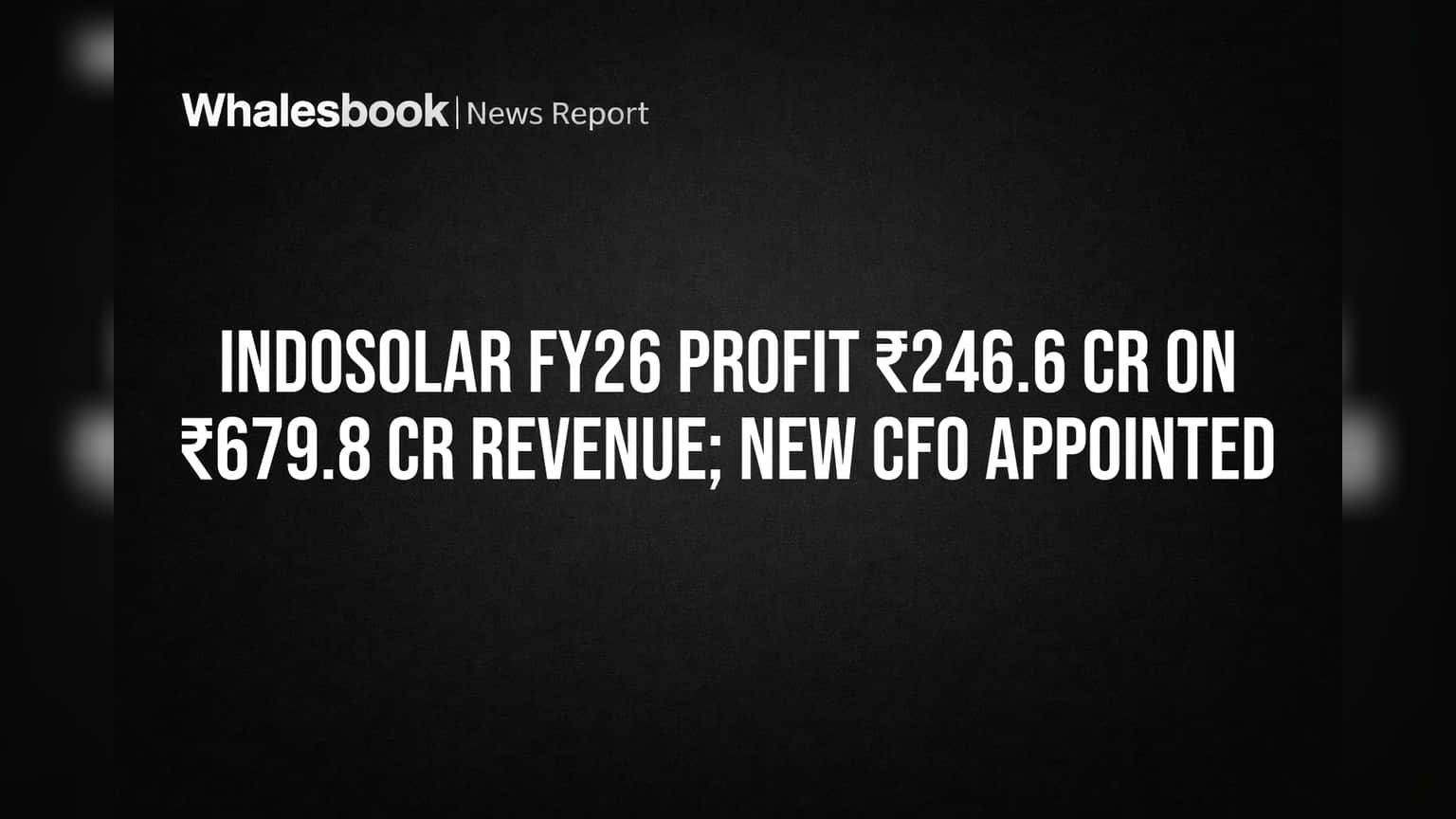 Indosolar मध्ये दमदार पुनरागमन! FY26 मध्ये ₹246 कोटींचा नफा, शेअर बाजारात उत्साह