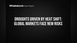 Droughts Driven by Heat Shift: Global Markets Face New Risks