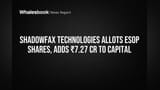 Shadowfax Technologies Allots ESOP Shares, Adds ₹7.27 Cr to Capital