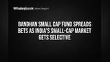Bandhan Small Cap Fund चा बदललेला डाव! स्मॉल-कॅप मार्केट हुआ सिलेक्टिव्ह, आता 'असे' होणार गुंतवणूक