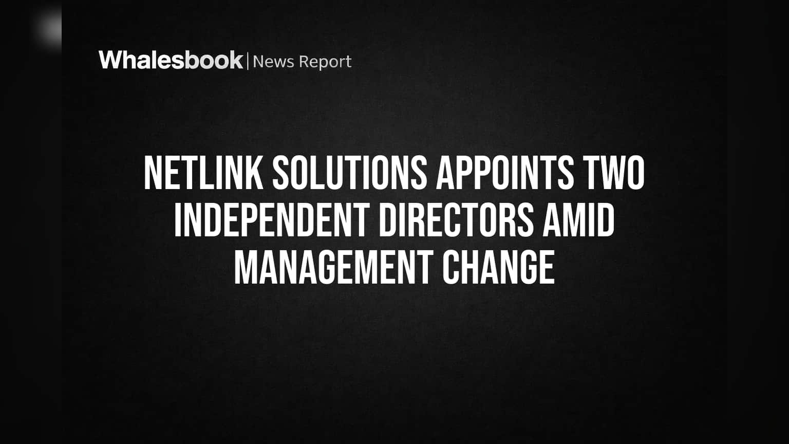 Netlink Solutions Appoints Two Independent Directors Amid Management Change