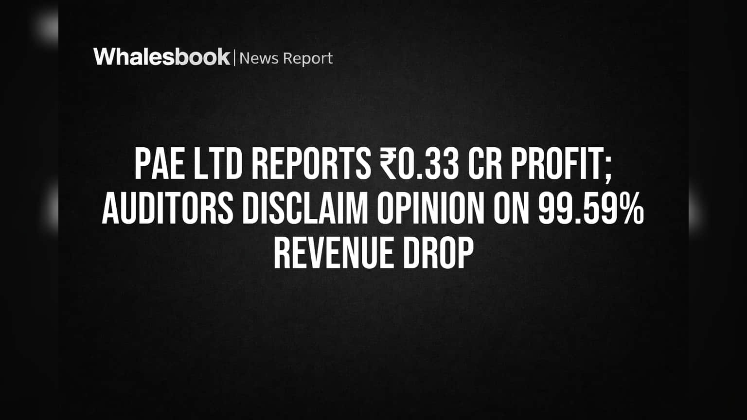 PAE Ltd Reports ₹0.33 Cr Profit; Auditors Disclaim Opinion on 99.59% Revenue Drop