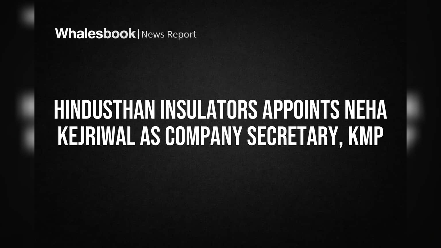 Hindusthan Insulators: कंपनी सेक्रेटरी पदावर अनुभवी नेहा केजरीवाल यांची नियुक्ती, प्रशासकीय कामांना नवी दिशा