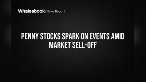 String Metaverse, Rajoo, Magellanic Stocks Gain Amid Market Sell-off