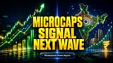 Microcap Stocks: Nifty 50 ਦੀ ਰਫ਼ਤਾਰ ਹੋਈ ਧੀਮੀ, ਹੁਣ ਇਨ੍ਹਾਂ ਛੋਟੀਆਂ ਕੰਪਨੀਆਂ 'ਚ ਨਿਵੇਸ਼ ਦੇ ਮੌਕੇ!