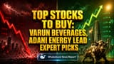 Varun Beverages, Adani Energy: ਬਾਜ਼ਾਰ ਡਿੱਗਣ 'ਤੇ ਵੀ ਇਹ 9 ਸਟਾਕਸ ਬਣਨਗੇ ਤੁਹਾਡੇ 'ਸੁਨਹਿਰੀ ਮੌਕੇ'?