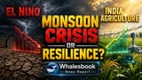 भारतात दुष्काळाची भीती वाढली, पण तंत्रज्ञान आणि सिंचनामुळे शेतीला मिळेल नवा आधार?