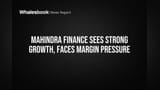 Mahindra Finance Share Price: तुफान वाढ, पण मार्जिनवर दबाव! गुंतवणूकदार काय म्हणतात?