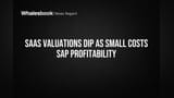 SaaS कंपनियों की वैल्यूएशन में बड़ी गिरावट! छोटे खर्चे बन रहे मुनाफे का दुश्मन