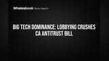 Big Tech Lobbying Stops California Antitrust Bill