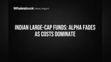 भारतीय लार्ज-कॅप फंड्स: बेंचमार्क्सपेक्षा कमी परतावा! कारण 'हा' खर्च खातोय तुमची कमाई!