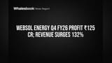 Websol Energy Posts ₹125 Cr Profit on 132% Revenue Surge
