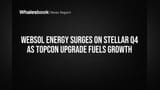 Websol Energy Share Price: રોકાણકારો ઝૂમ્યા! Q4 માં ₹401 કરોડની આવક અને ₹125 કરોડનો Net Profit, શેર **5%** તેજીમાં