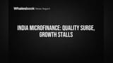 India Microfinance Sector: क्वालिटी में रिकॉर्ड उछाल, पर ग्रोथ पर लगी रोक! क्या है वजह?