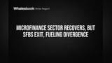 Indian Microfinance Sector: रिकवरी के साथ 'स्पलिट' मार्केट, बैंक क्यों बदल रहे हैं रणनीति?