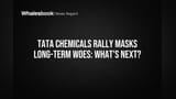 Tata Chemicals Share Price: ਸ਼ੇਅਰ ਨੇ ਮਾਰੀ 9% ਛਾਲ, ਪਰ ਇਹ ਚਿੰਤਾਵਾਂ ਕਿਉਂ?