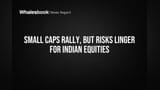 Indian Small Caps: ਬਾਜ਼ਾਰ 'ਚ ਧੂਮ! Small & Mid Caps ਨੇ Large Caps ਨੂੰ ਪਿੱਛੇ ਛੱਡਿਆ, ਪਰ ਖਤਰੇ ਦੀ ਘੰਟੀ ਵੀ ਵੱਜ ਰਹੀ