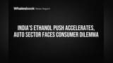 భారత్ ఇథనాల్ మిశ్రమం: ఇంధన భద్రతకు ప్రాధాన్యత.. వాహనదారులకు మైలేజ్, ఖర్చులపై కొత్త లెక్కలు!