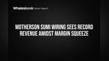 Motherson Sumi Wiring: రెవెన్యూలో రికార్డు.. కానీ మార్జిన్లలో కోత! ఇన్వెస్టర్లు కంగారు