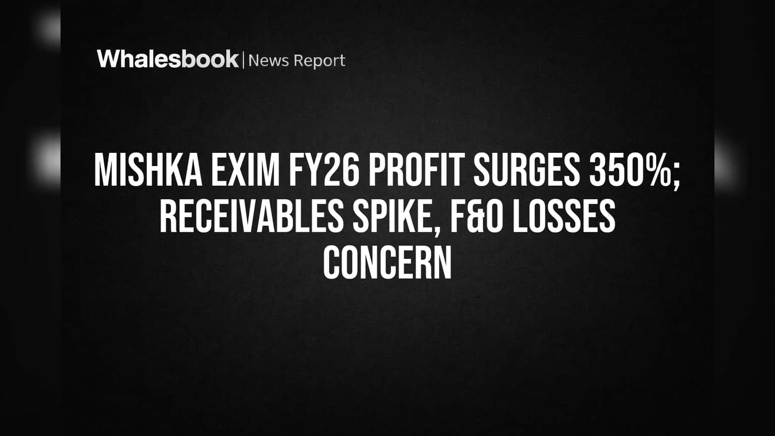 Mishka Exim FY26: નફામાં **350%** નો ધમાકેદાર ઉછાળો, પણ આ ચિંતાઓ પણ!