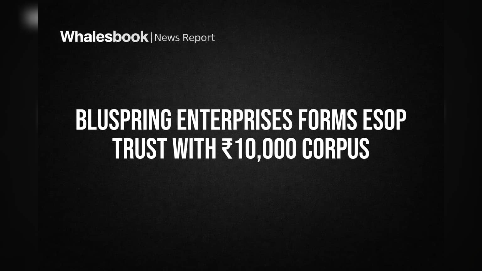 Bluspring Enterprises: कर्मचाऱ्यांसाठी मोठी घोषणा! ESOP Trust ची स्थापना, टॅलेंट टिकवण्यासाठी नवी खेळी