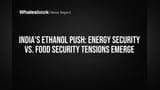 Ethanol Drive: भारत की एनर्जी सिक्योरिटी या फूड सिक्योरिटी पर खतरा?