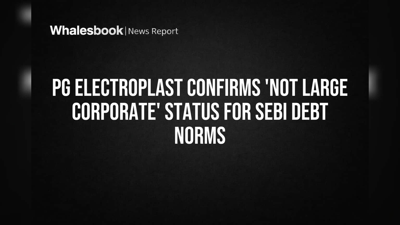 PG Electroplast Not a 'Large Corporate' Under SEBI Debt Rules