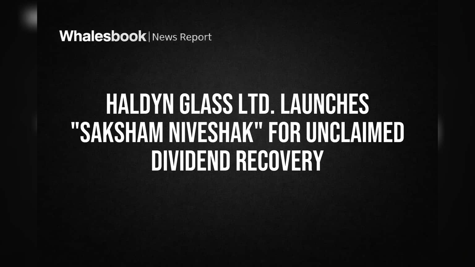 Haldyn Glass: शेअरधारकांसाठी आनंदाची बातमी! 'सक्षम निवेषक' मोहीम सुरु, हक्काचे पैसे परत मिळवण्याची संधी
