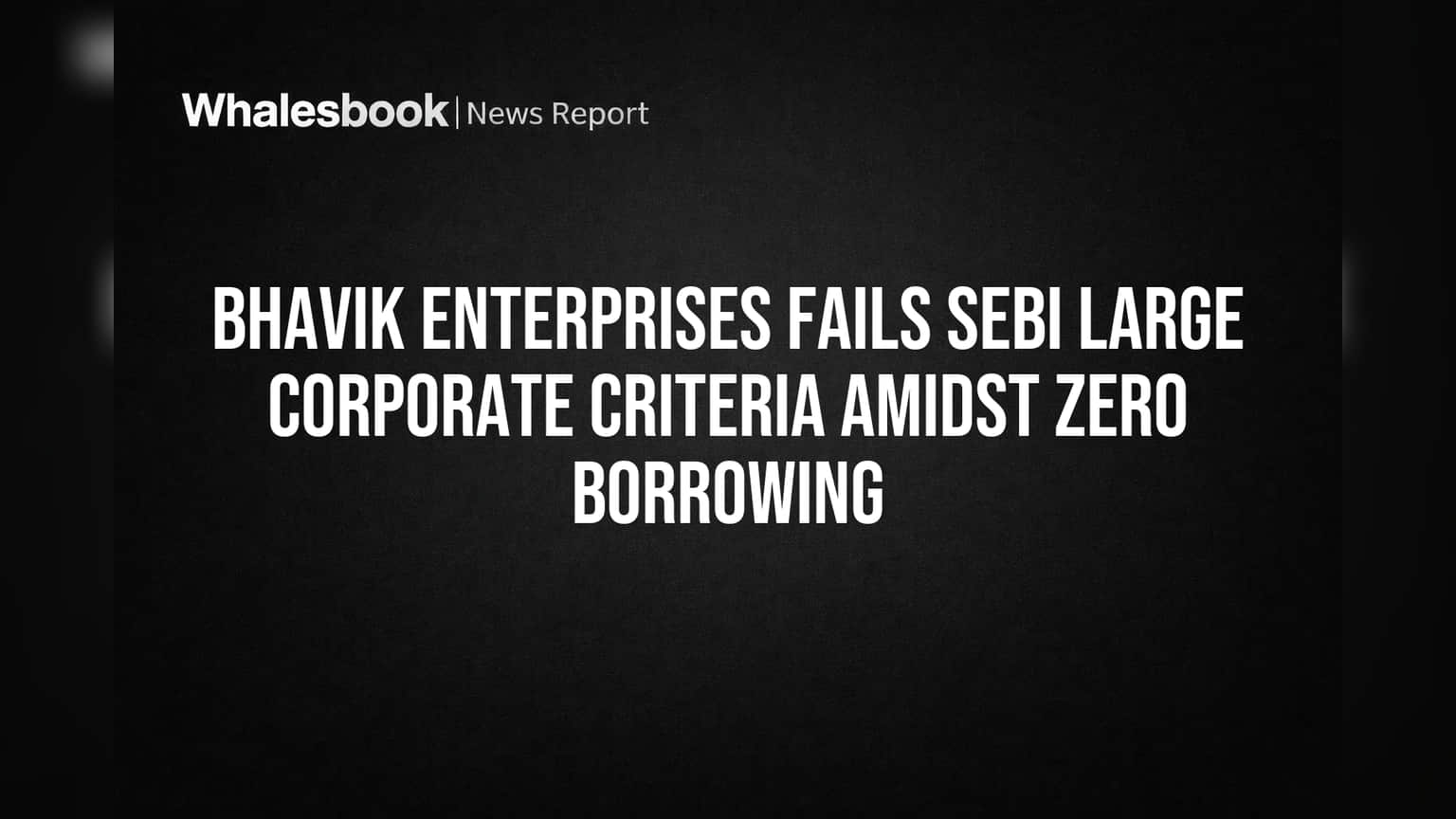 SEBI Rules Bhavik Enterprises Not a 'Large Corporate' Due to No Borrowing