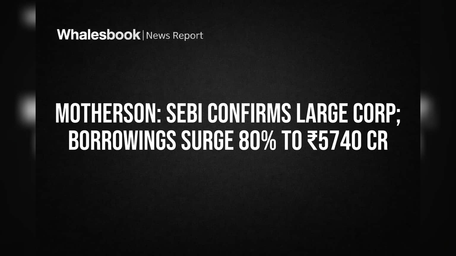 Motherson Named 'Large Corporate' as Debt Jumps 80% to ₹5,740 Cr for Growth