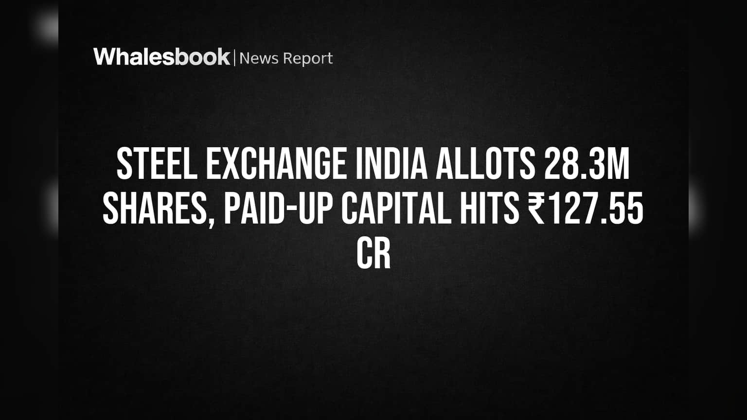 Steel Exchange India: वॉरंट्सचे कन्वर्जन पूर्ण, पेड-अप कॅपिटल ₹127.55 कोटींवर पोहोचले!
