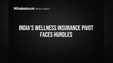 ભારતમાં હેલ્થ ઈન્શ્યોરન્સ હવે વેલનેસ પર ફોકસ, પણ ટેકનોલોજી અને ડેટાના મોટા અવરોધો