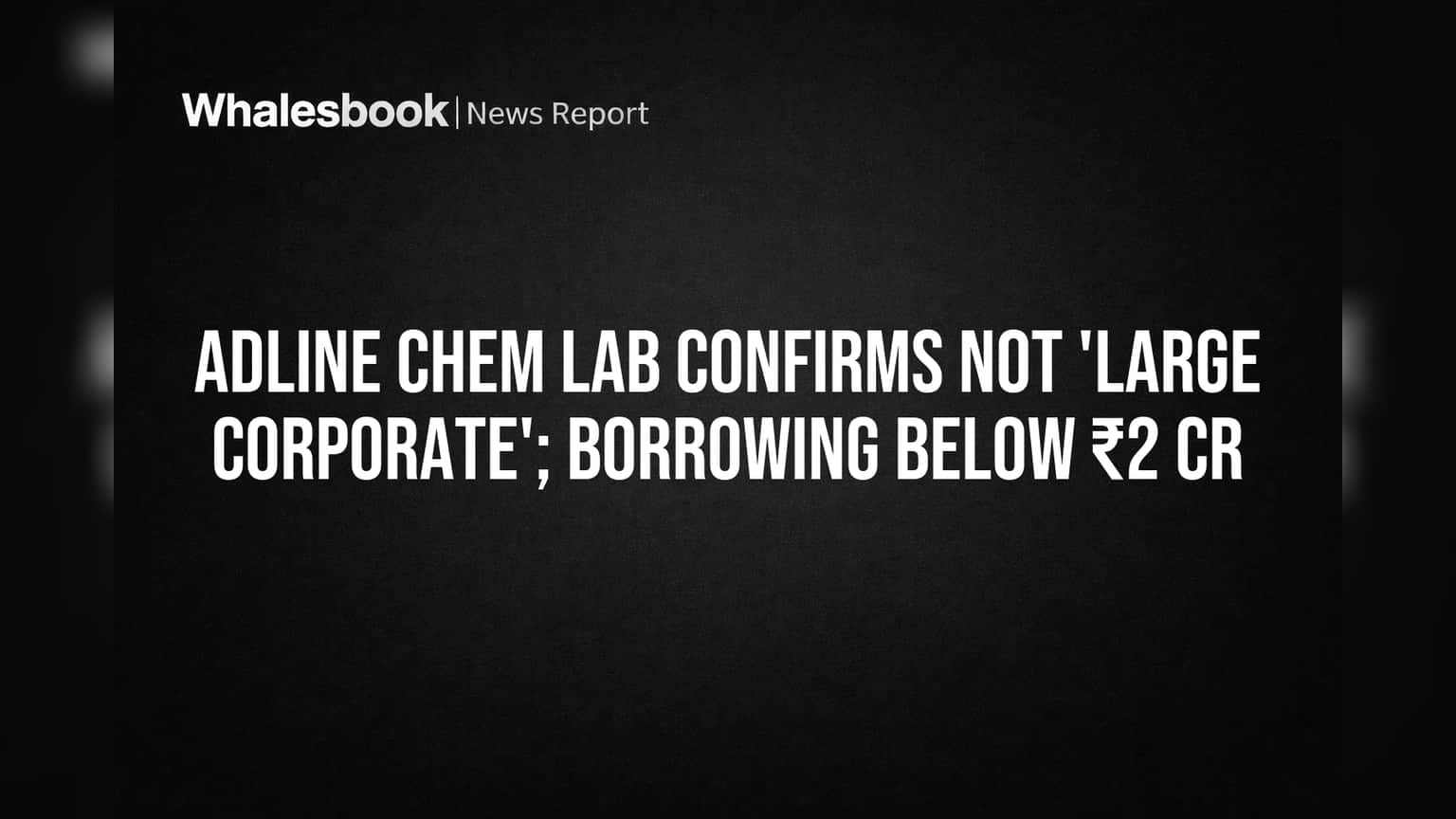 Adline Chem Lab: ₹1.73 કરોડના દેવા સાથે 'લાર્જ કોર્પોરેટ' નહીં, રોકાણકારો માટે શું છે ખાસ?