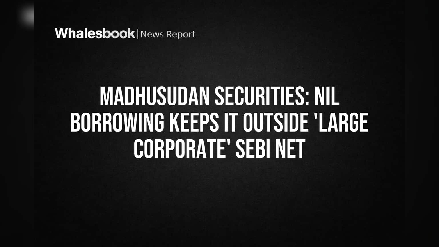 Madhusudan Securities: Zero Debt Keeps Firm Out of SEBI Large Corporate Rules