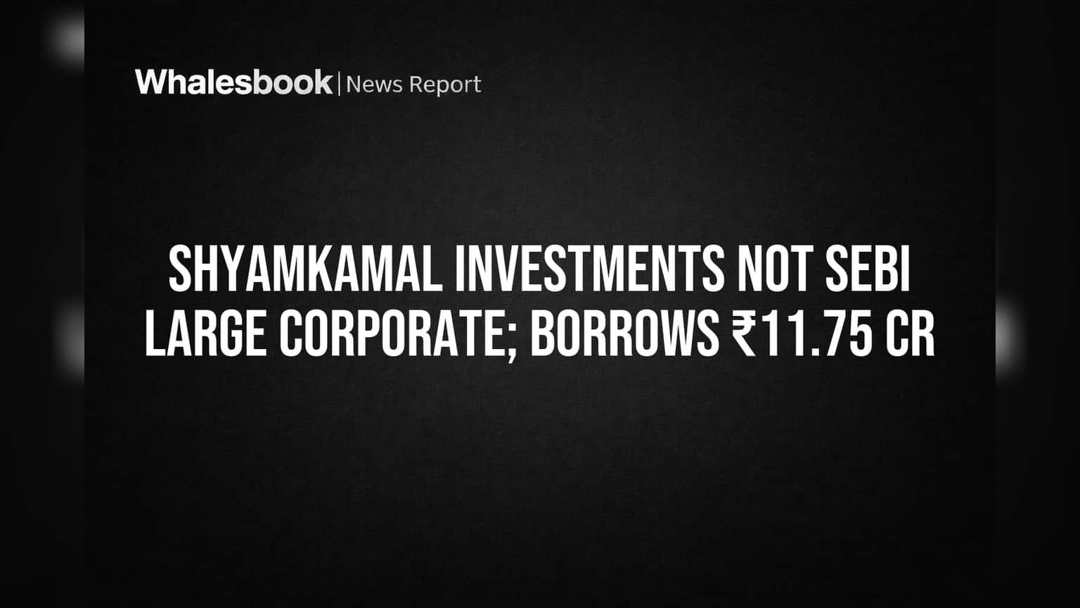 Shyamkamal Investments SEBI 'Large Corporate' नियमातून बाहेर! ₹11.75 कोटी कर्जामुळे नियमातून सूट