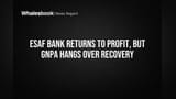 ESAF Bank Profit: ESAF સ્મોલ ફાઇનાન્સ બેંક Q4 માં ફરી નફામાં, પણ NPA ચિંતા યથાવત