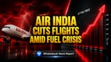 Air India Flights Cancelled: મોંઘા ઈંધણ અને ₹22,000 કરોડના નુકસાન વચ્ચે એરલાઇન પર સંકટ
