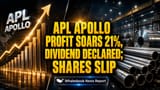APL Apollo Tubes Share Price: Q4માં જોરદાર કમાણી, પણ valuation ચિંતાઓને કારણે શેરમાં ઘટાડો!