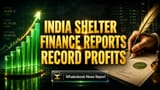 India Shelter Finance: રેકોર્ડ પ્રોફિટ છતાં શેર ઘટ્યો, રેવન્યુ ચિંતાનો વિષય