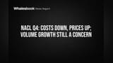 NACL Share Price: Q4 Result Zordaar! Par Volume Growth Ka Kya Scene Hai?