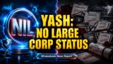 Yash Innoventures: 'Large Corporate' அந்தஸ்து இல்லை! கடன் சுமை இல்லாததால் கிடைக்கும் சலுகைகள் & அதிகரிக்கும் கவலை