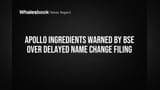 Apollo Ingredients: பெயர் மாற்ற விண்ணப்பத்தில் தாமதம் - BSE எச்சரிக்கை!