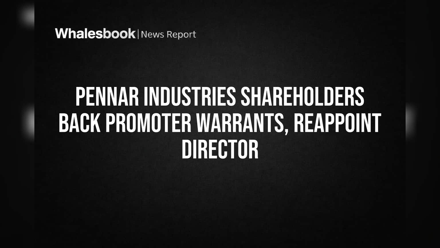 Pennar Industries Shareholders Back Promoter Warrants, Reappoint Director
