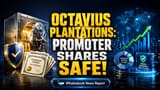 Octavius Plantations Share Price: முக்கிய அறிவிப்பு! Promoters உறுதிப்படுத்தினர் - பங்குகள் அடமானம் இல்லை!